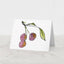Fresh Fruit, Hand Painted Stationery, Lisa Angelini Studio